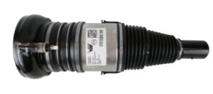 Air Spring Assy